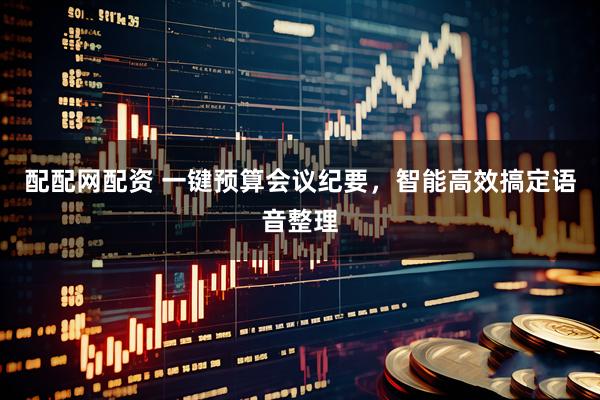 配配网配资 一键预算会议纪要，智能高效搞定语音整理