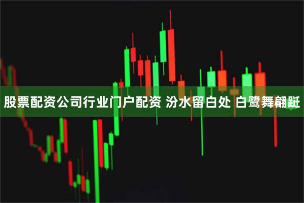 股票配资公司行业门户配资 汾水留白处 白鹭舞翩跹