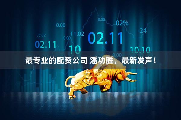 最专业的配资公司 潘功胜，最新发声！